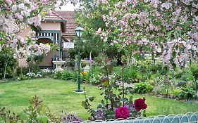Dalfruin B&B